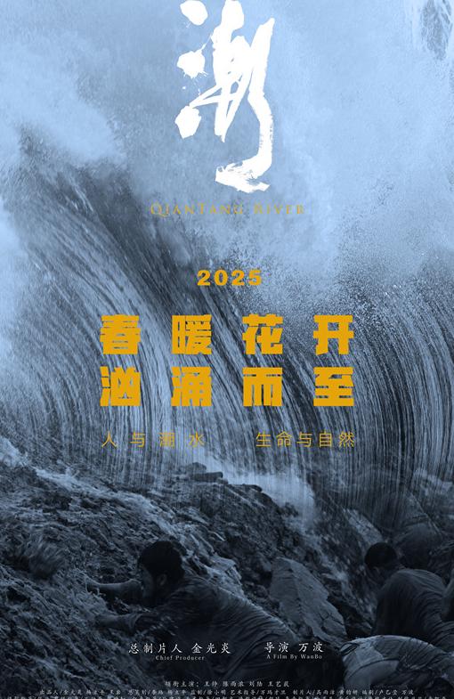 海外怎么看cctv教程